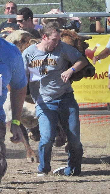 bull runners